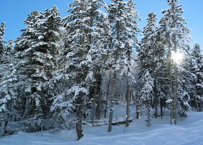 Bois De Marie - Bel De 7 Couchages Avec Garage Et Wifi, Proche Du Centre De Mae-8564 Barèges