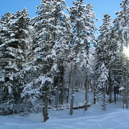 Bois De Marie - Bel De 7 Couchages Avec Garage Et Wifi, Proche Du Centre De Mae-8564 바레즈